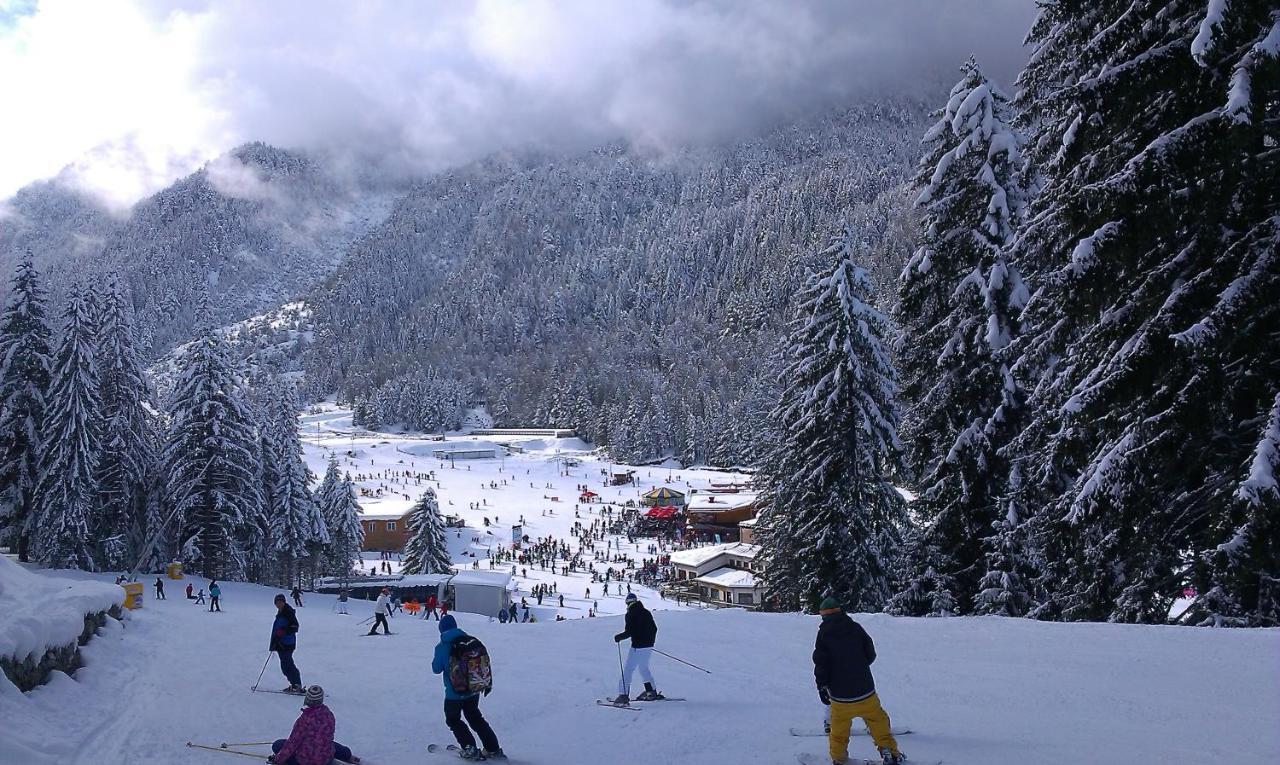 רזלוג Aspen Studio Mountain Retreat At Aspen Resort Golf Ski & Spa מראה חיצוני תמונה